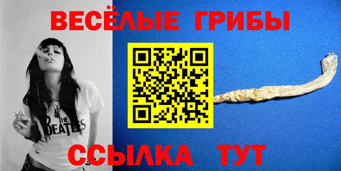 Псилоцибиновые грибы мухоморы Краснознаменск